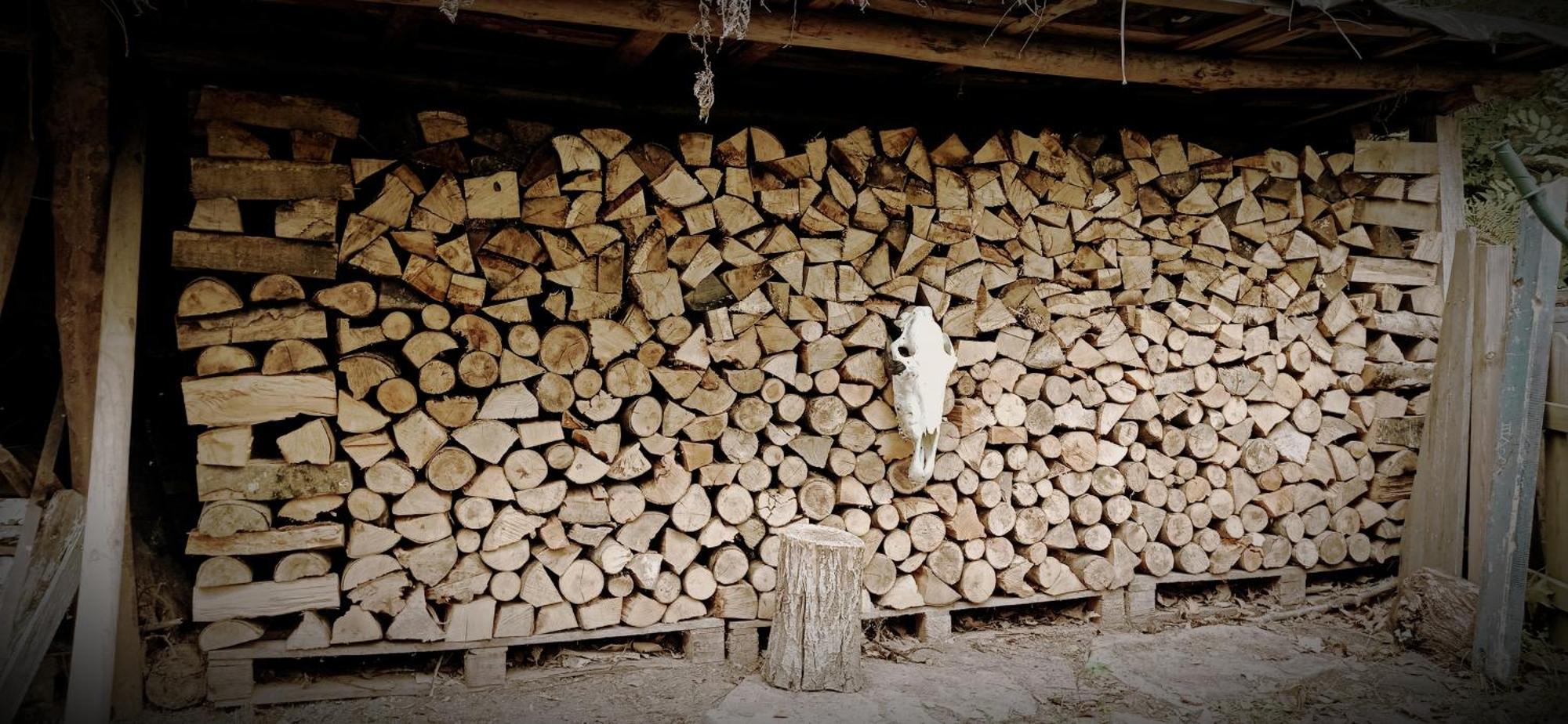 Albergue Olasenea Aterpea Zubieta Ngoại thất bức ảnh
