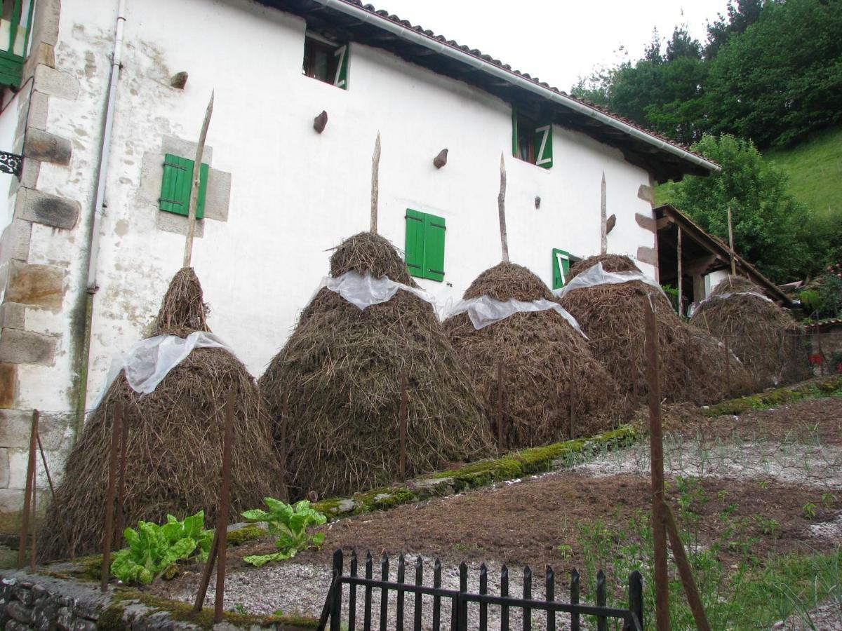 Albergue Olasenea Aterpea Zubieta Ngoại thất bức ảnh